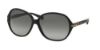 Picture of Coach Sunglasses HC8118F L589 Bailey