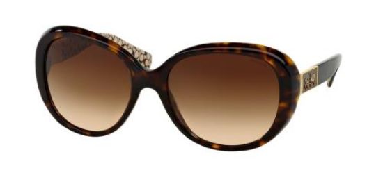 Coach sunglasses 2025 hc8120