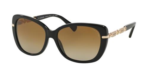 ❌NOT FOR SALE❌ Coach Sunglasses HC8131 Dark Tortoise/Light Gold/Dark Brown Coach HC8131 Sunglasses | FREE Shipping - Go-Optic.com  main image 2
