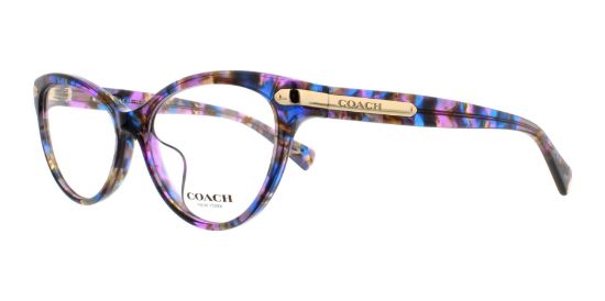 Picture of Coach Eyeglasses HC6066F