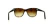 Picture of Ralph Lauren Sunglasses RL8115