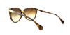Picture of D&G Sunglasses DD 8096