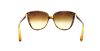 Picture of D&G Sunglasses DD 8096