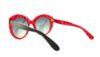Picture of Dolce & Gabbana Sunglasses DG4227