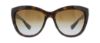 Picture of Dolce & Gabbana Sunglasses DG6087