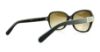 Picture of Michael Kors Sunglasses MK6013