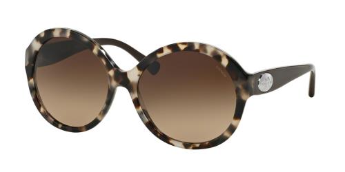 Picture of Coach Sunglasses HC8149