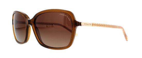 Picture of Coach Sunglasses HC8152 L136
