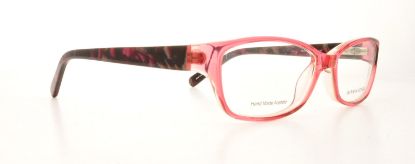 Picture of Banana Republic Eyeglasses BUFFY