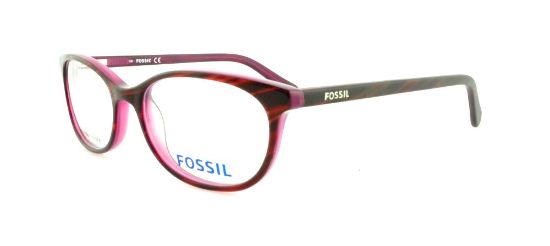 Picture of Fossil Eyeglasses RAVEN