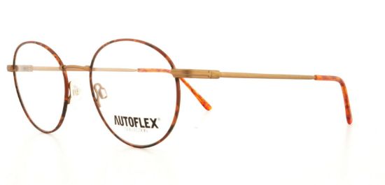 Picture of Flexon Eyeglasses 53