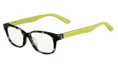 Picture of Calvin Klein Platinum Eyeglasses 5733