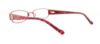 Picture of Guess Eyeglasses GU 9079