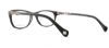 Picture of Lucky Brand Eyeglasses PALM
