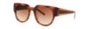 Picture of Vera Wang Sunglasses V293