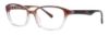 Picture of Vera Wang Eyeglasses V317