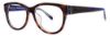Picture of Vera Wang Eyeglasses VA01