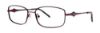 Picture of Vera Wang Eyeglasses PLACIDA
