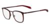 Picture of Calvin Klein Platinum Eyeglasses CK5416