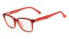 Picture of Calvin Klein Platinum Eyeglasses CK5857