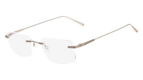 Picture of Flexon Eyeglasses E1092
