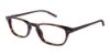 Picture of Tommy Bahama Eyeglasses TB165