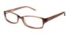 Picture of Tommy Bahama Eyeglasses TB172