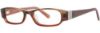 Picture of Vera Wang Eyeglasses V041