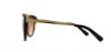 Picture of Michael Kors Sunglasses MK6014