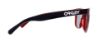 Picture of Oakley Sunglasses FROGSKINS LX