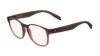 Picture of Calvin Klein Platinum Eyeglasses CK5911