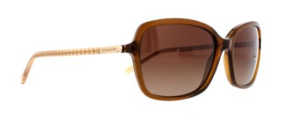 Picture of Coach Sunglasses HC8152 L136