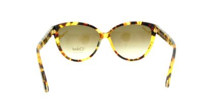 Picture of Chloe Sunglasses CE620S