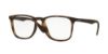 Picture of Ray Ban Eyeglasses RX7074F