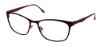 Picture of Bcbgmaxazria Eyeglasses RAFFAELLA