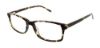 Picture of Clearvision Eyeglasses NICO
