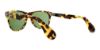 Picture of Ralph Lauren Sunglasses RL8129P
