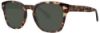 Picture of Zac Posen Sunglasses GUERRINO
