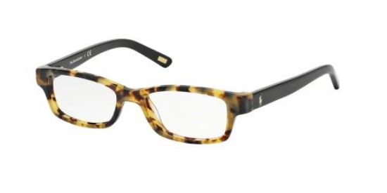 Picture of Polo Eyeglasses PP8518