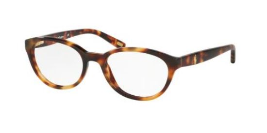 Picture of Polo Eyeglasses PP8526