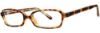 Picture of Gallery Eyeglasses KYLIE