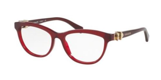 Picture of Coach Eyeglasses HC6087