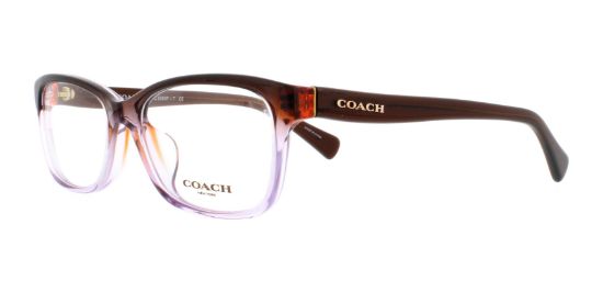 Picture of Coach Eyeglasses HC6089F