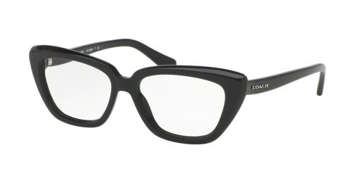 Picture of Coach Eyeglasses HC6090