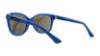 Picture of Guess Sunglasses GU7401