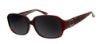 Picture of Bcbgmaxazria Sunglasses FABULOUS