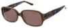Picture of Bcbgmaxazria Sunglasses FABULOUS