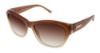 Picture of Bcbgmaxazria Sunglasses SPECTACULAR
