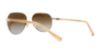 Picture of Coach Sunglasses HC7053 L137