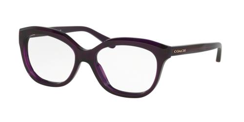 Picture of Coach Eyeglasses HC6096